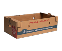 Boîtes de Semis